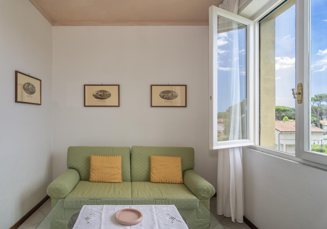 Edera Marina di Pietrasanta
