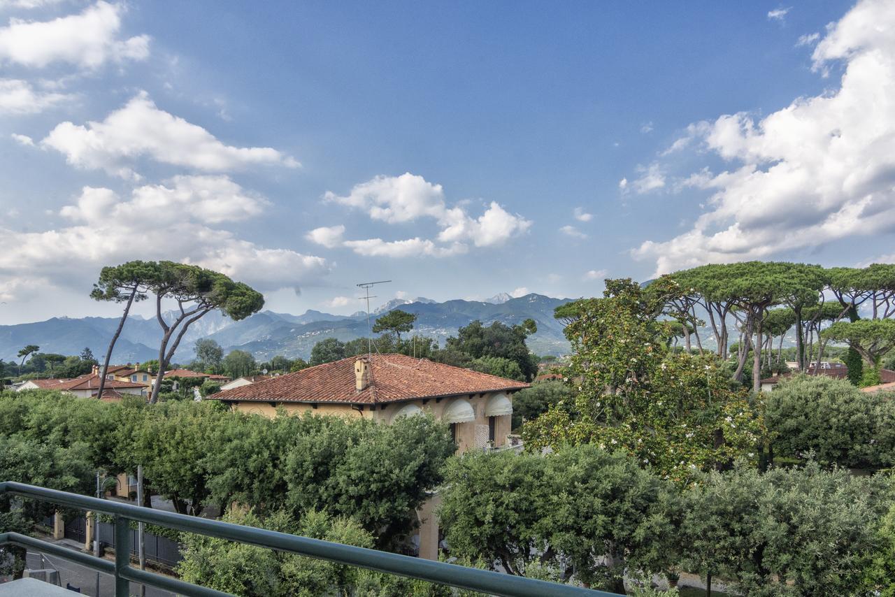 Edera Marina di Pietrasanta